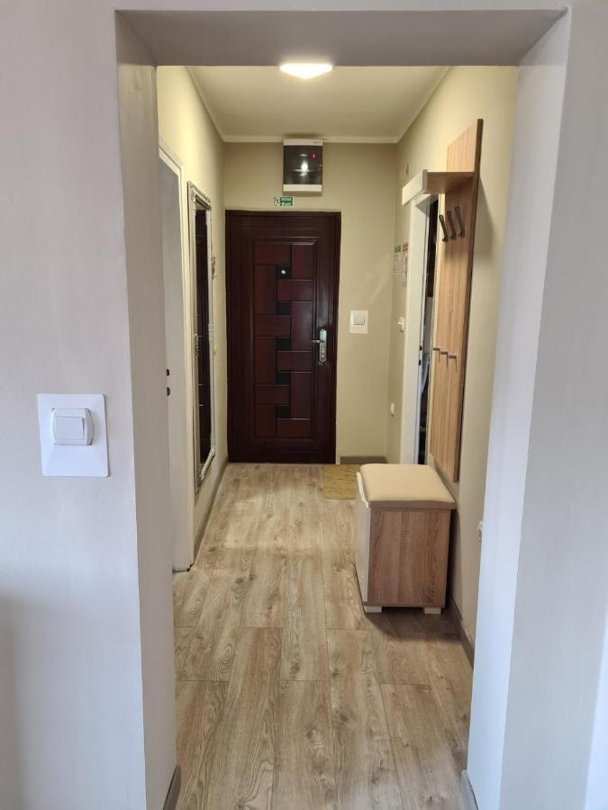 Apartman Petrov ドニー・ミラノヴァツ エクステリア 写真