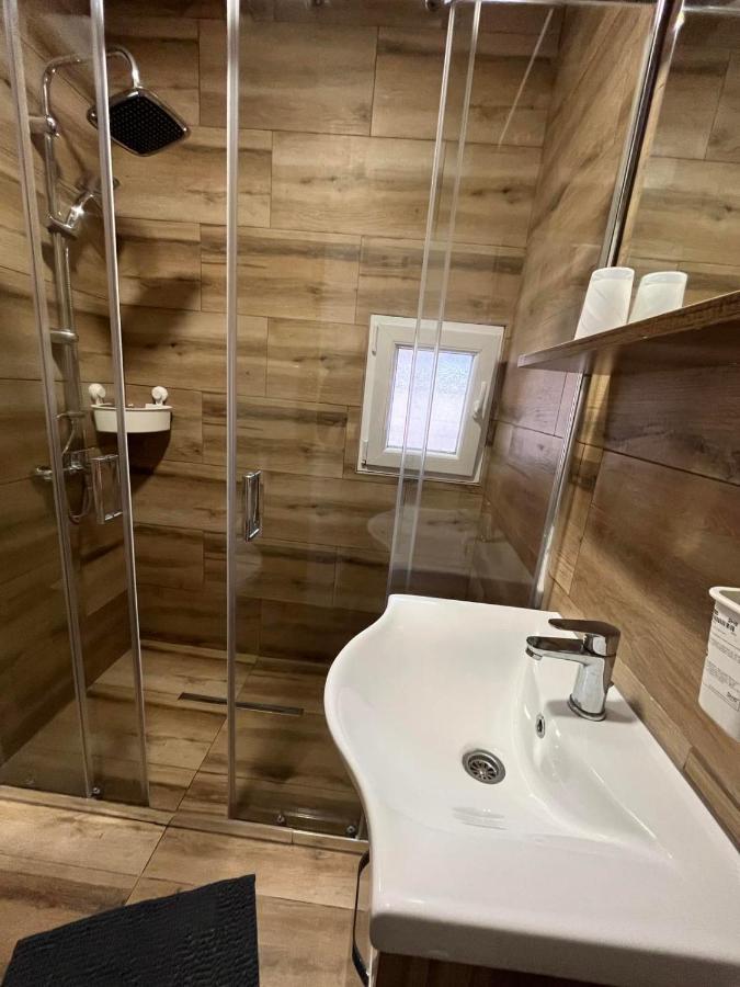 Apartman Petrov ドニー・ミラノヴァツ エクステリア 写真