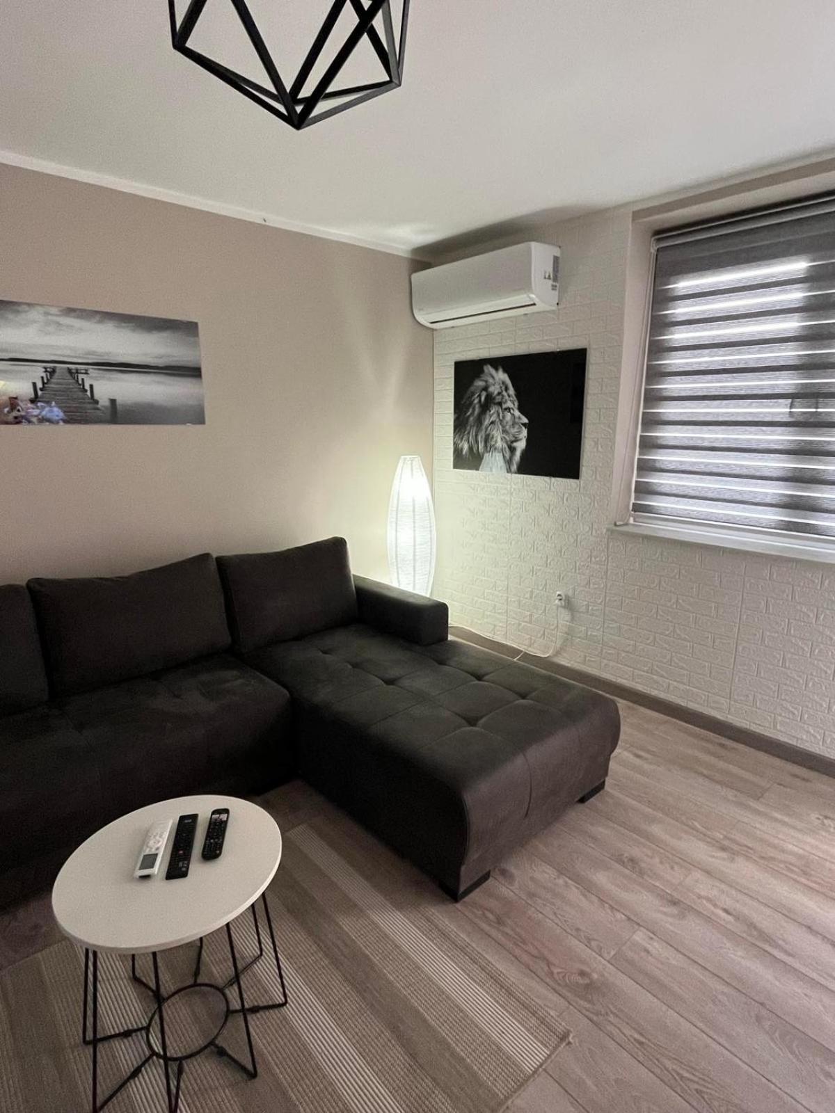 Apartman Petrov ドニー・ミラノヴァツ エクステリア 写真